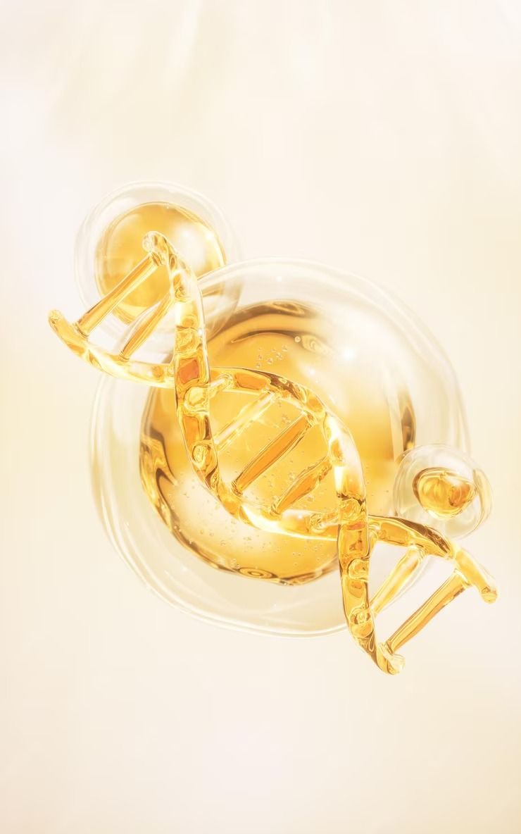 Hé lộ nguồn gốc của “giọt vàng dưỡng chất” hàng triệu phụ nữ tin dùng